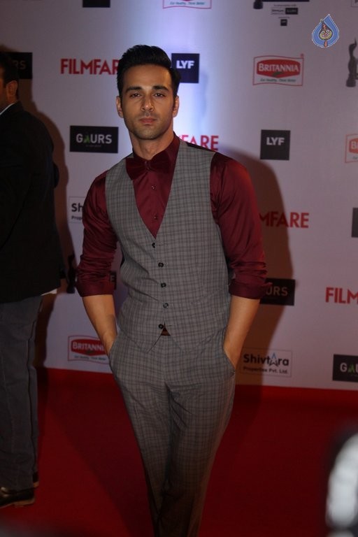 Celebrities at Filmfare 2016 Awards 1 - 24 / 84 photos