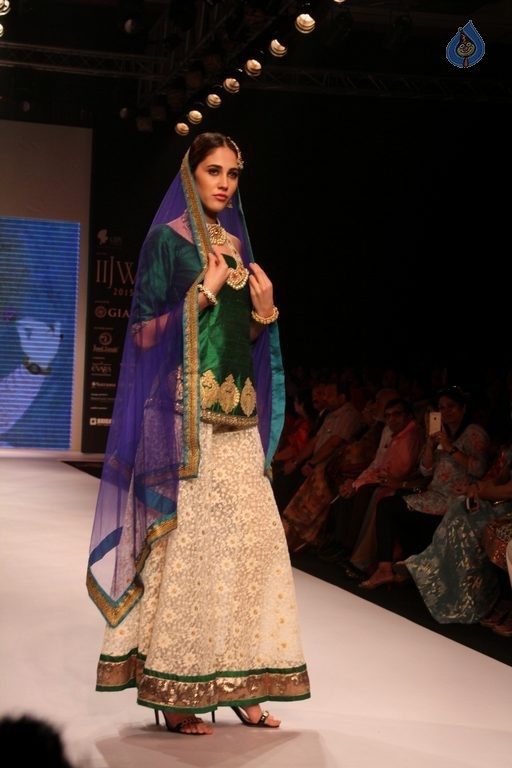 Celebrities at IIJW 2015 Show - 32 / 102 photos