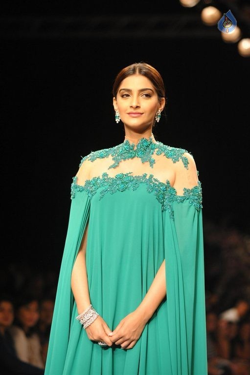 Celebrities at IIJW 2015 Show - 36 / 102 photos