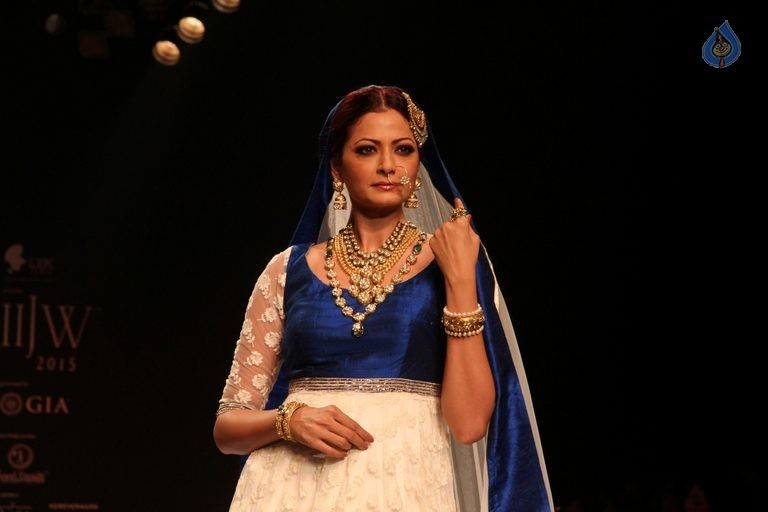 Celebrities at IIJW 2015 Show - 59 / 102 photos