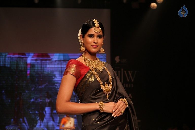 Celebrities at IIJW 2015 Show - 66 / 102 photos