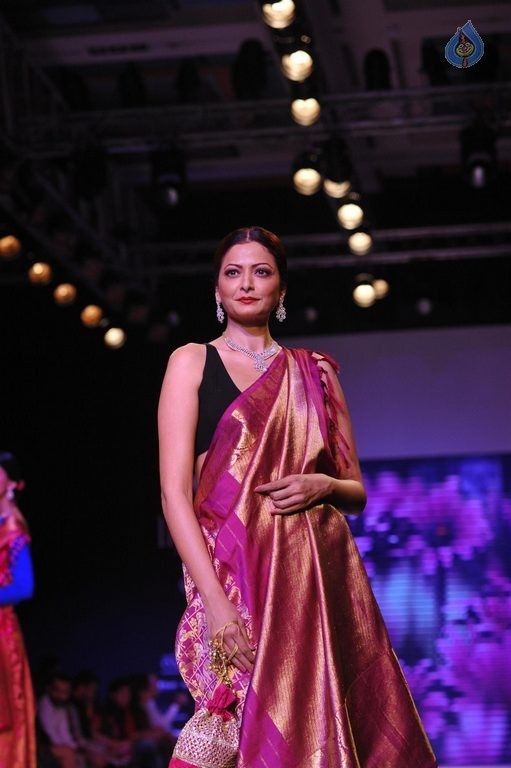 Celebrities at IIJW 2015 Show - 69 / 102 photos