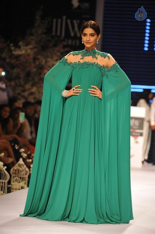 Celebrities at IIJW 2015 Show - 71 / 102 photos