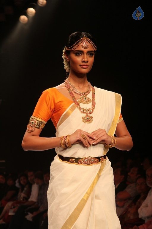 Celebrities at IIJW 2015 Show - 74 / 102 photos