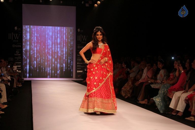 Celebrities at IIJW 2015 Show - 85 / 102 photos