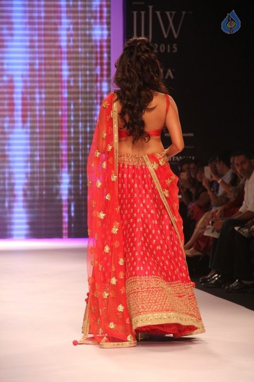 Celebrities at IIJW 2015 Show - 97 / 102 photos