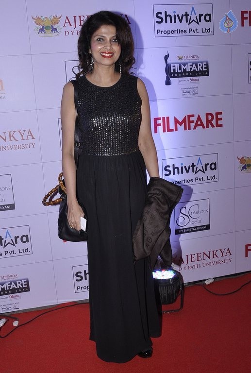 Celebrities at Marathi Filmfare Awards 2014 - 5 / 71 photos