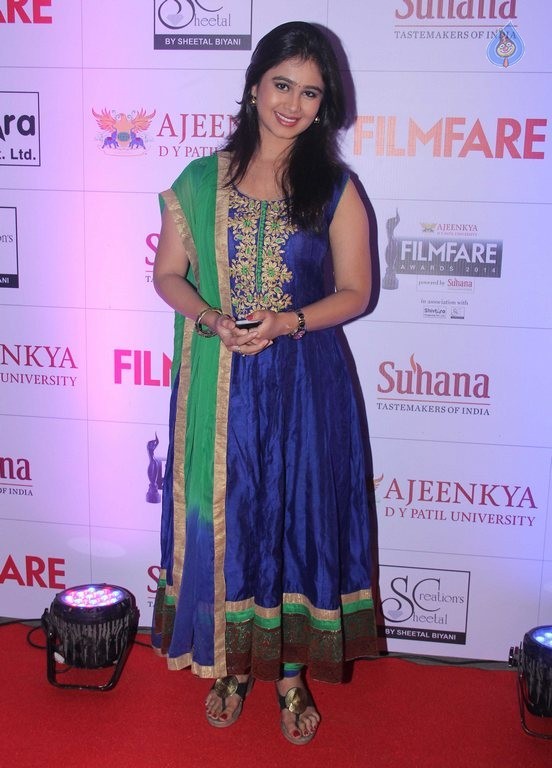 Celebrities at Marathi Filmfare Awards 2014 - 7 / 71 photos