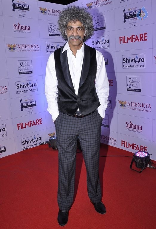 Celebrities at Marathi Filmfare Awards 2014 - 30 / 71 photos