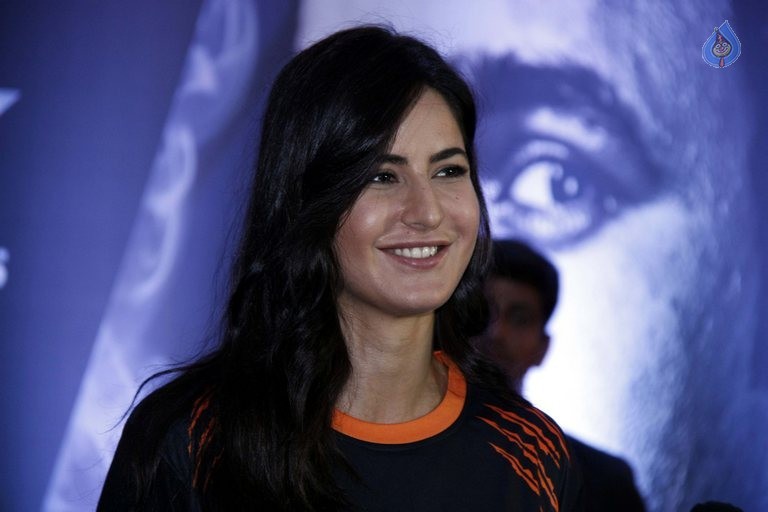 Celebrities at PKL 2015 Final - 9 / 21 photos