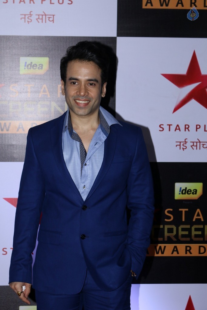 Celebrities at Star Screen Awards 2016 Event 1 - 28 / 71 photos