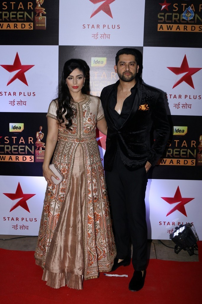 Celebrities at Star Screen Awards 2016 Event 1 - 35 / 71 photos