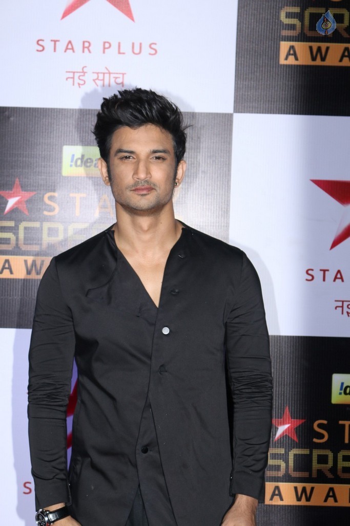 Celebrities at Star Screen Awards 2016 Event 1 - 40 / 71 photos