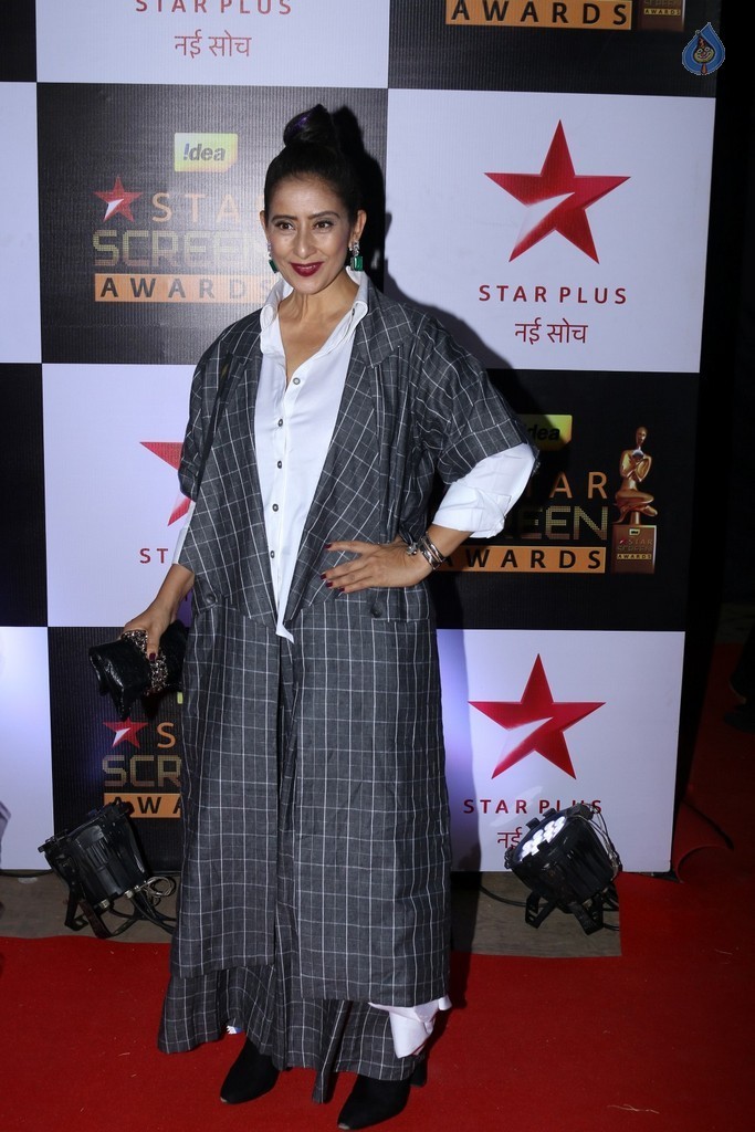 Celebrities at Star Screen Awards 2016 Event 1 - 64 / 71 photos