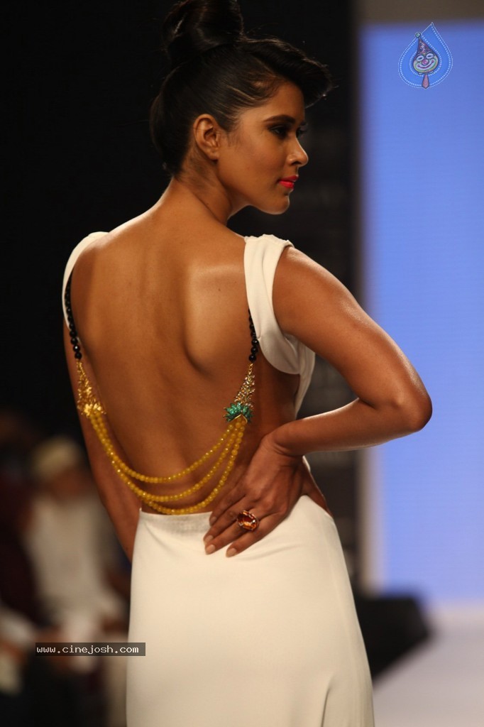 Celebrities Ramp Walk At IIJW 2013 - 5 / 90 photos
