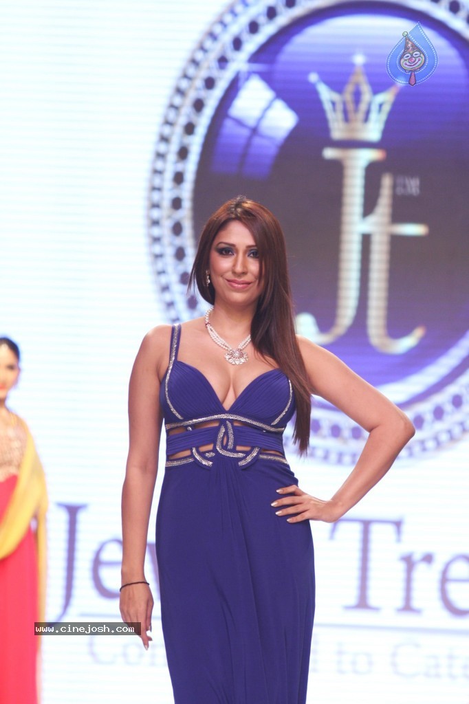 Celebrities Ramp Walk At IIJW 2013 - 16 / 90 photos