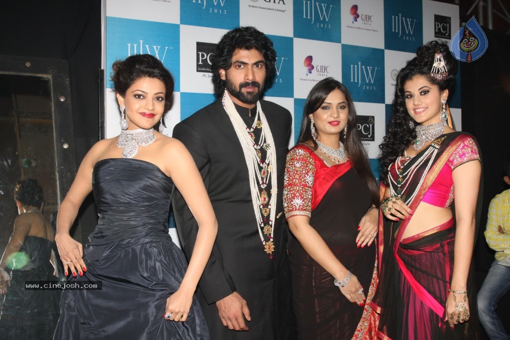 Celebrities Ramp Walk At IIJW 2013 - 22 / 90 photos