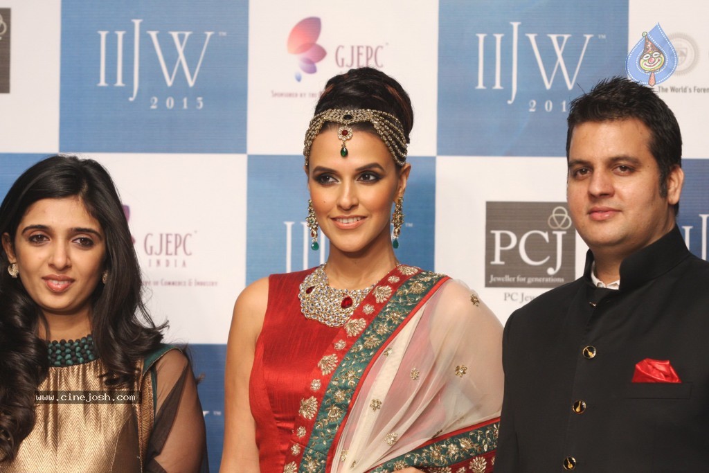 Celebrities Ramp Walk At IIJW 2013 - 41 / 90 photos