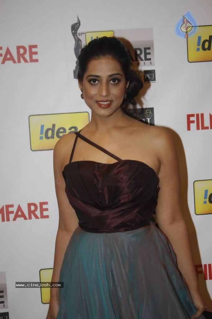 Celebs at 57th Idea Filmfare Awards 2011 - 90 / 137 photos