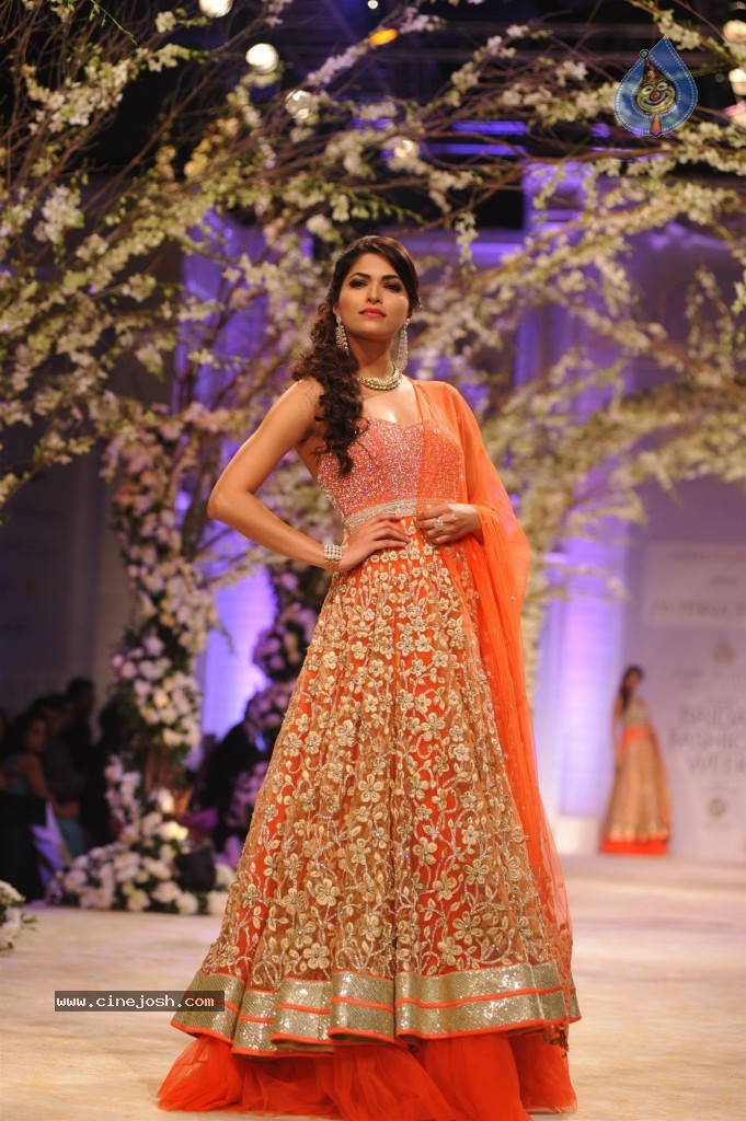 Celebs at Aamby Valley India Bridal Fashion Week - 2 / 96 photos