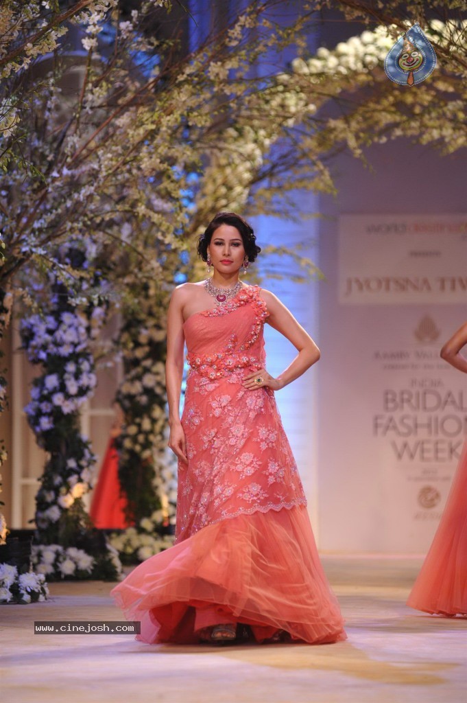 Celebs at Aamby Valley India Bridal Fashion Week - 10 / 96 photos