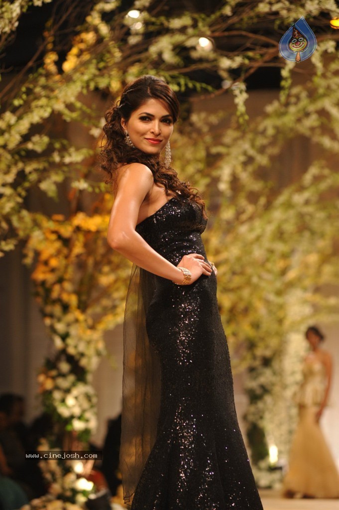 Celebs at Aamby Valley India Bridal Fashion Week - 38 / 96 photos