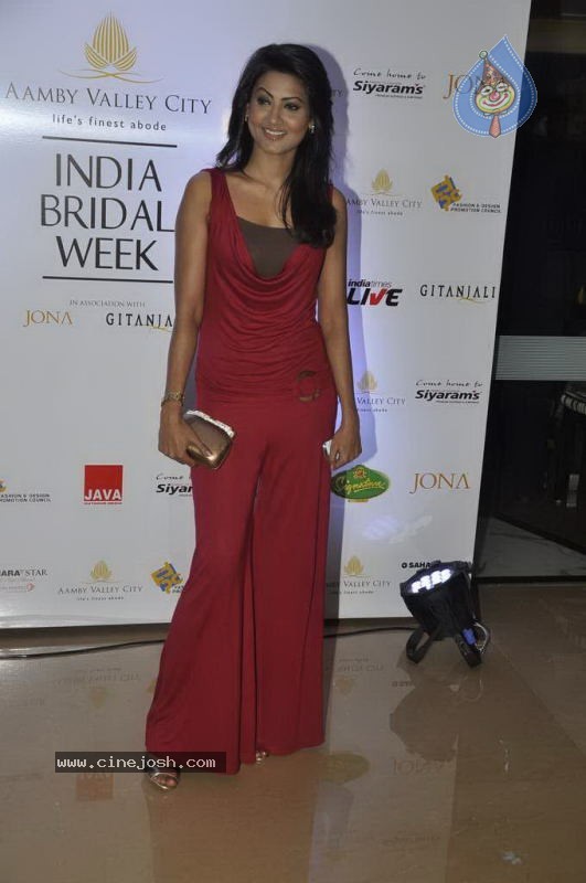 Celebs at Aamby Valley India Bridal Week day 5 - 76 / 133 photos