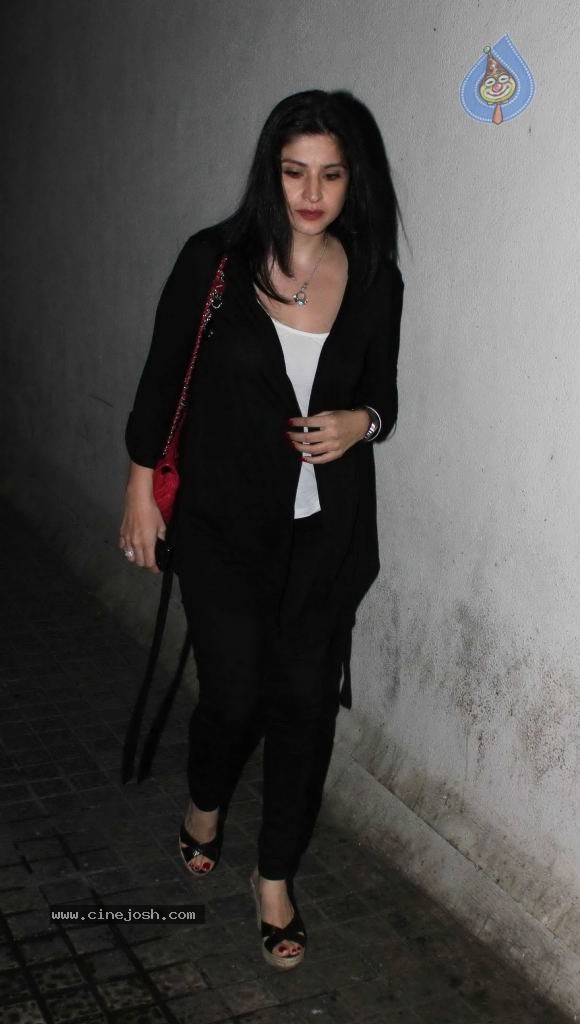 Celebs at Agneepath Movie Special Show - 1 / 45 photos