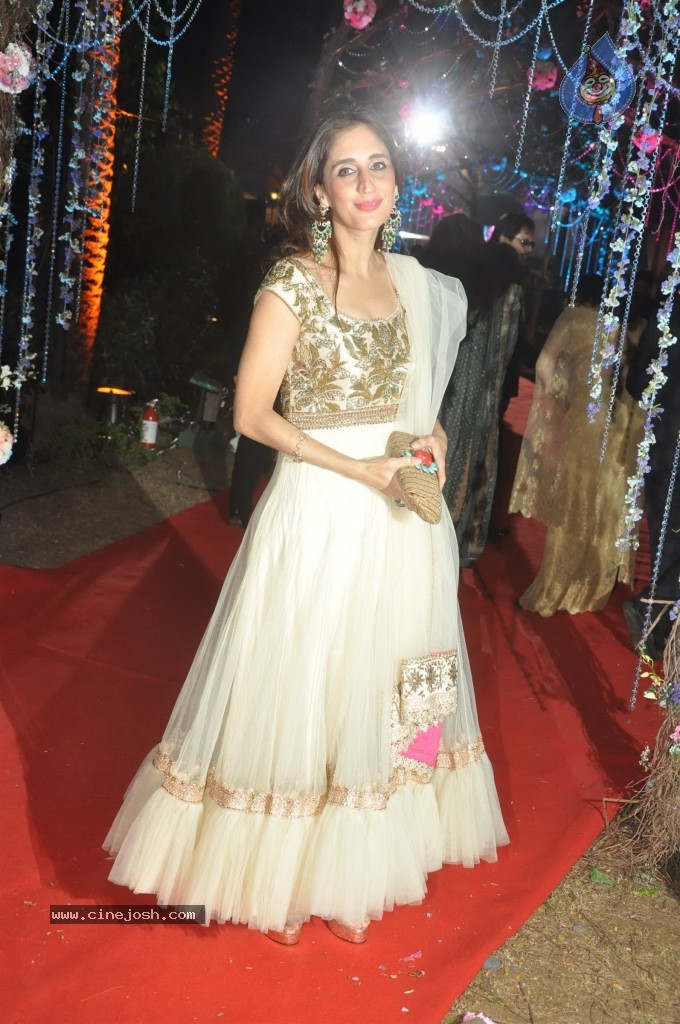 Celebs at Ahana Deol Wedding Reception - 5 / 115 photos