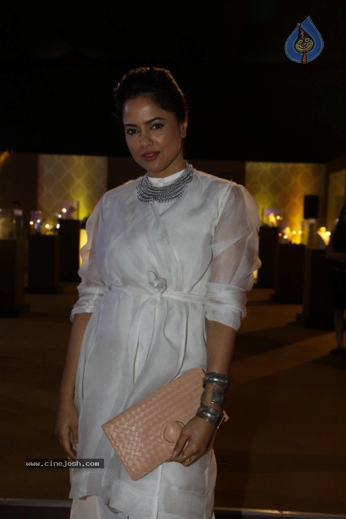 Celebs at AVIBW 2013 Grand Finale - 12 / 71 photos