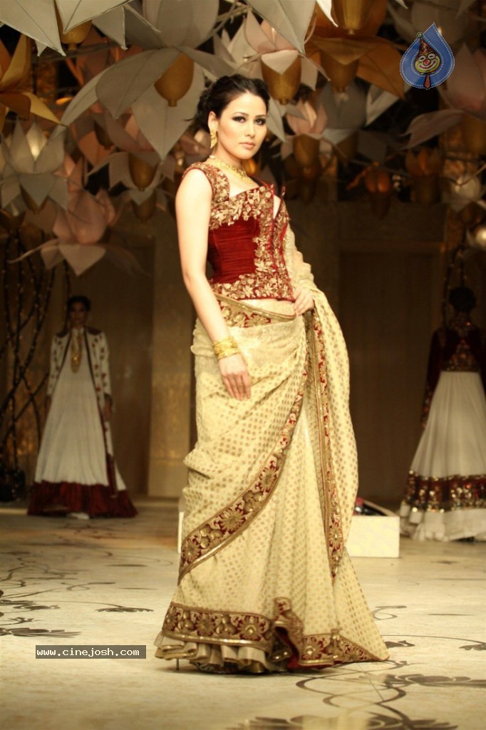 Celebs at AVIBW 2013 Grand Finale - 27 / 71 photos