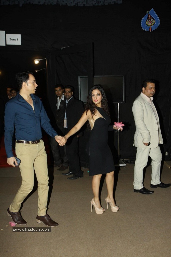 Celebs at AVIBW 2013 Grand Finale - 32 / 71 photos