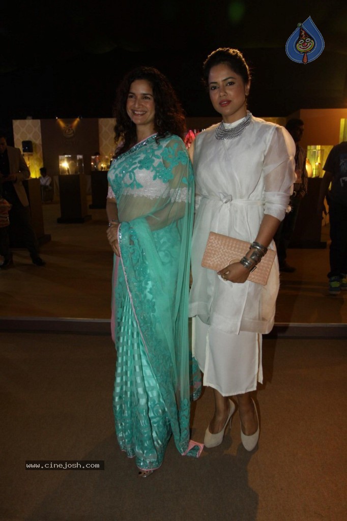 Celebs at AVIBW 2013 Grand Finale - 49 / 71 photos