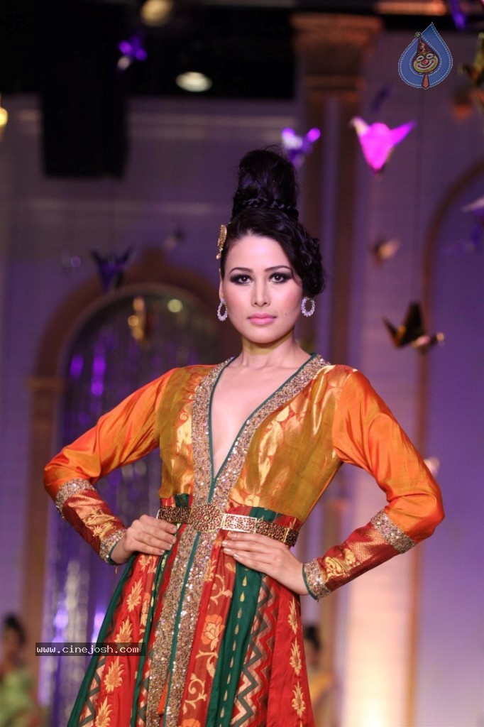 Celebs at AVIBW 2013 Grand Finale - 53 / 71 photos