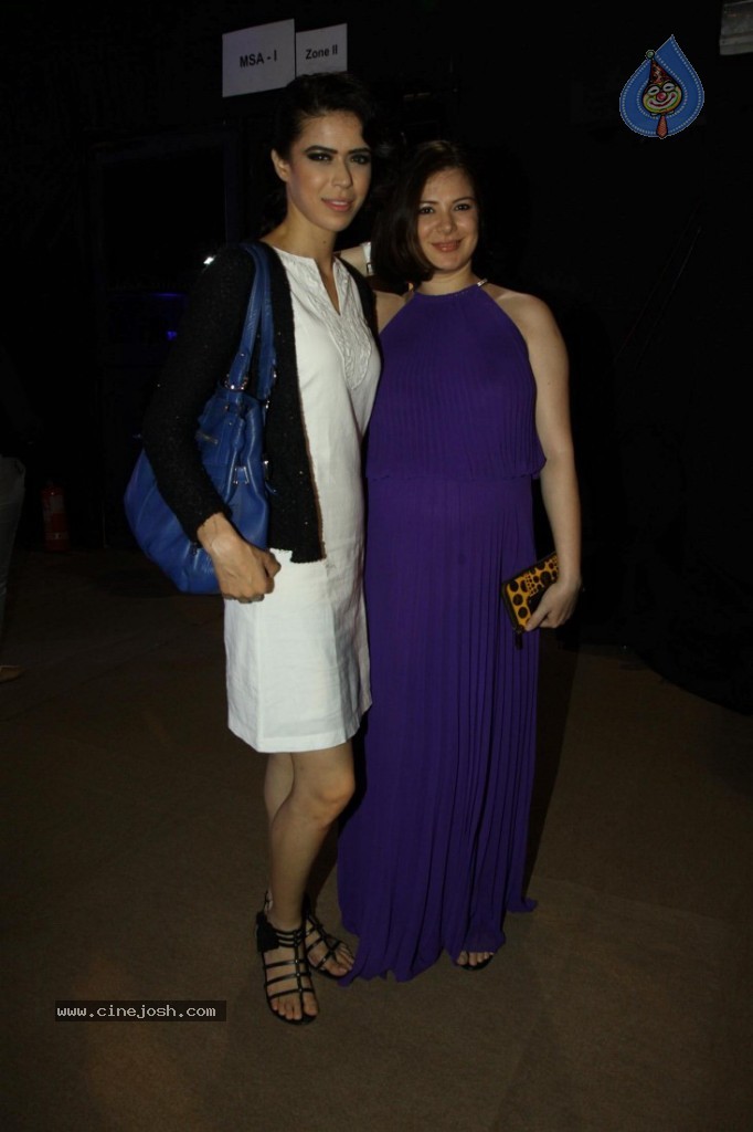 Celebs at AVIBW 2013 Grand Finale - 55 / 71 photos