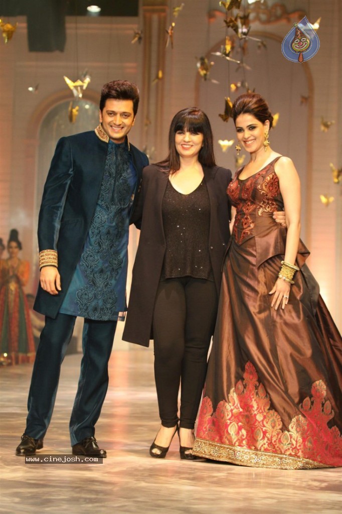 Celebs at AVIBW 2013 Grand Finale - 59 / 71 photos