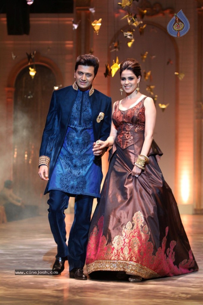 Celebs at AVIBW 2013 Grand Finale - 65 / 71 photos