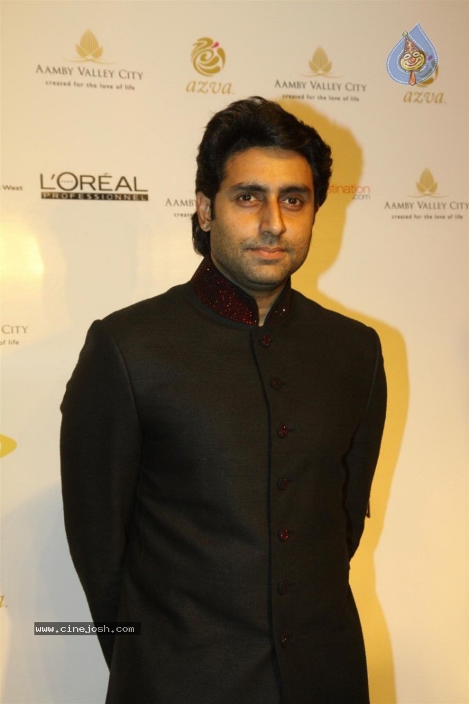 Celebs at AVIBW 2013 Grand Finale - 66 / 71 photos