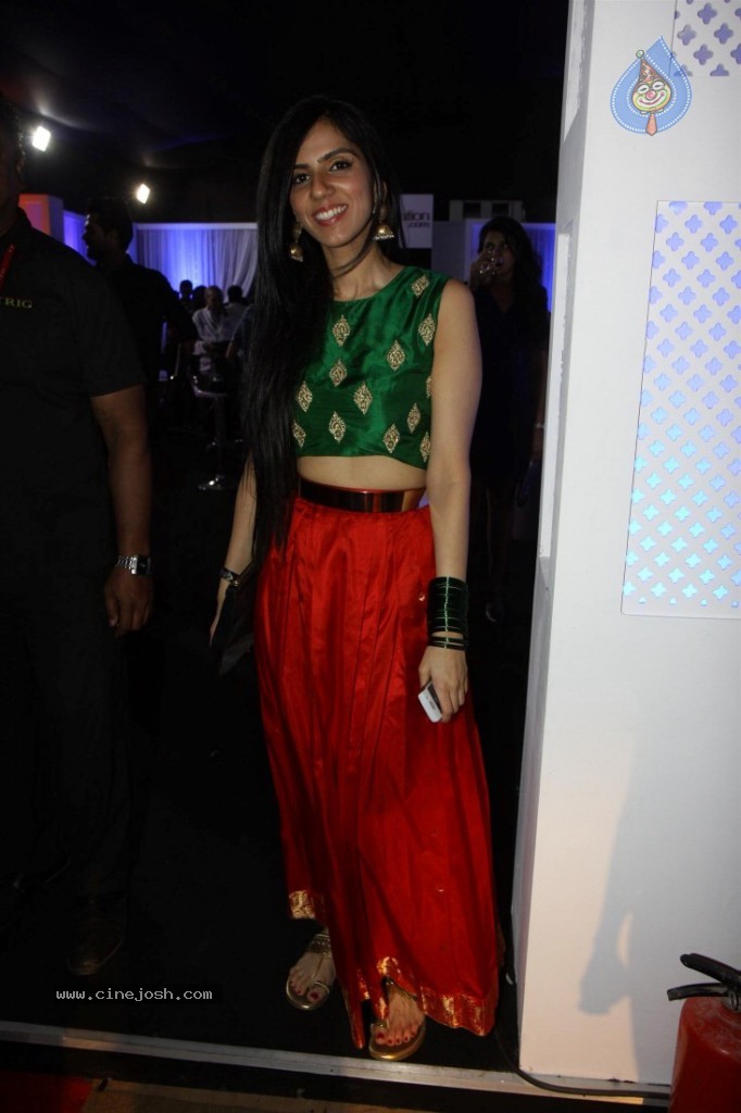 Celebs at AVIBW 2013 Grand Finale - 70 / 71 photos