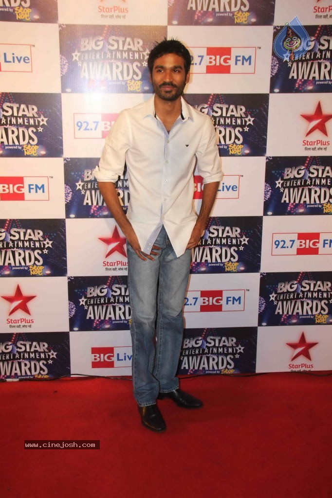 Celebs at BIG STAR Entertainment Awards 2011 - 13 / 114 photos