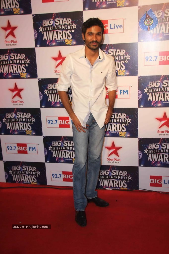 Celebs at BIG STAR Entertainment Awards 2011 - 21 / 114 photos