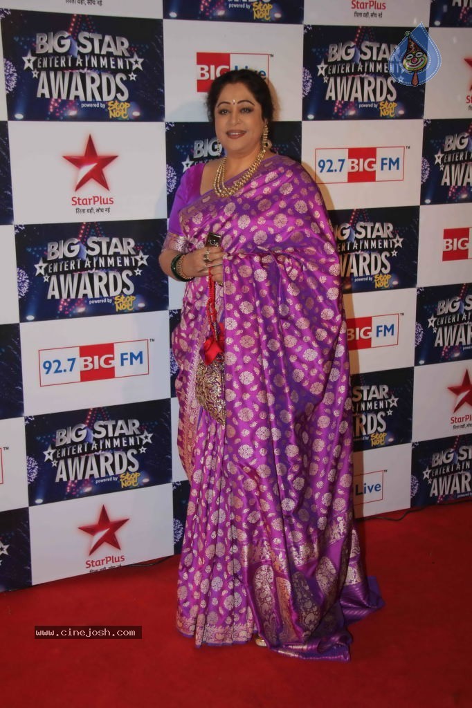 Celebs at BIG STAR Entertainment Awards 2011 - 33 / 114 photos