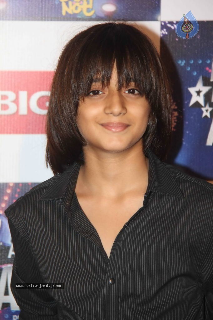 Celebs at BIG STAR Entertainment Awards 2011 - 41 / 114 photos