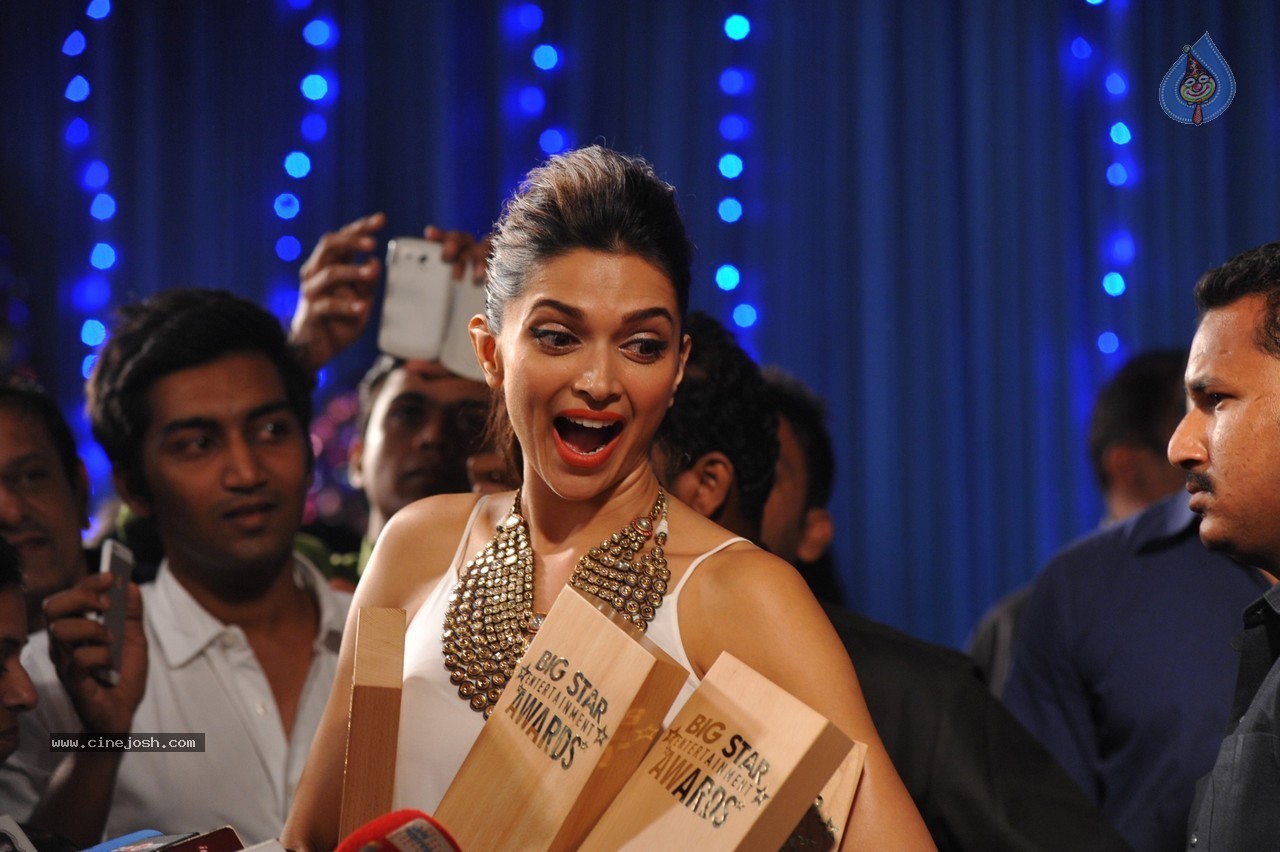Celebs at Big Star Entertainment Awards 2013 - 24 / 54 photos