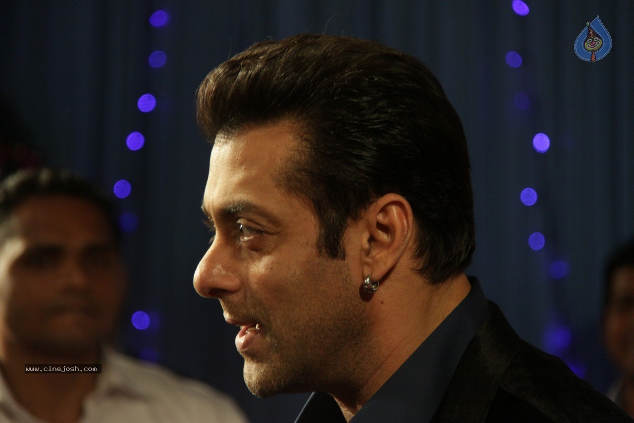 Celebs at Big Star Entertainment Awards 2013 - 32 / 54 photos