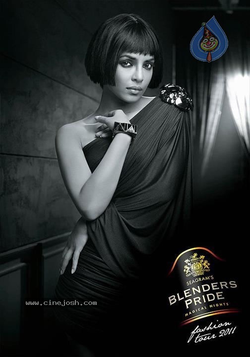 Celebs at Blenders Pride Fashion Tour 2011 Preview - 5 / 20 photos