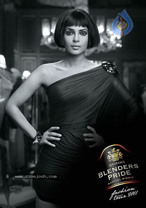 Celebs at Blenders Pride Fashion Tour 2011 Preview - 14 / 20 photos