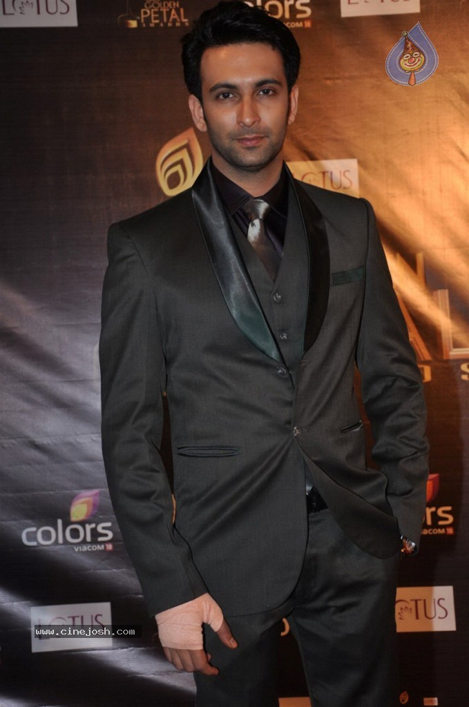 Celebs at Colors Golden Petal Awards 2012 - 25 / 86 photos