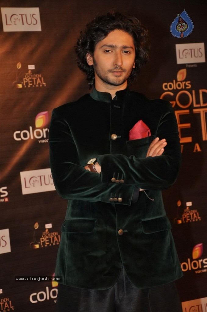 Celebs at Colors Golden Petal Awards 2012 - 34 / 86 photos