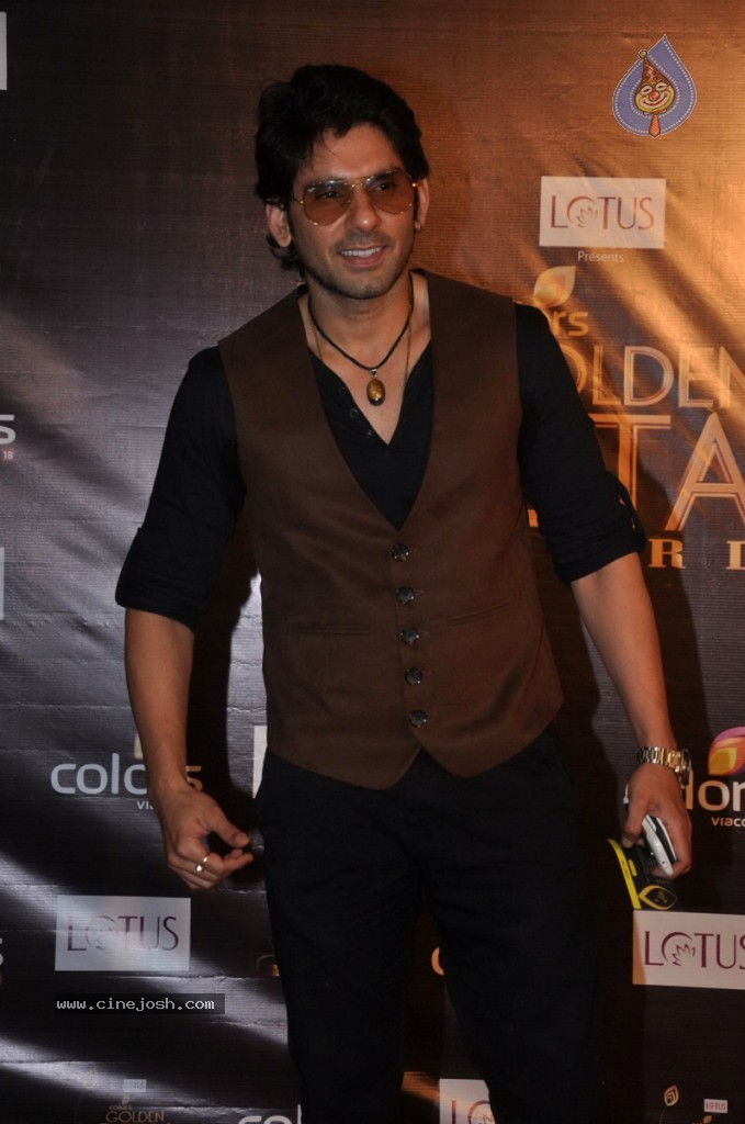 Celebs at Colors Golden Petal Awards 2012 - 42 / 86 photos